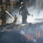 Firefighter in the woods holding an axe