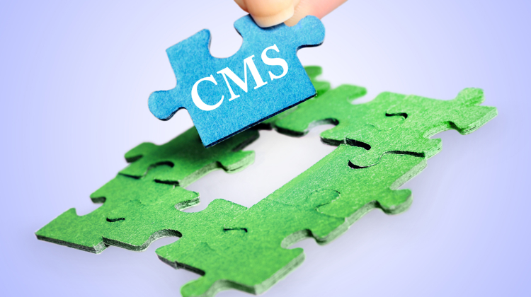 What does CMS stand for?