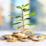 Stack of gold coins sit on a white table in front of a succulent plant