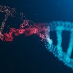 Twisted stand of DNA in blue tones with a small shading of red against a midnight-blue background.