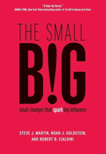Book cover for The Small Big: Small Changes that Spark Influence